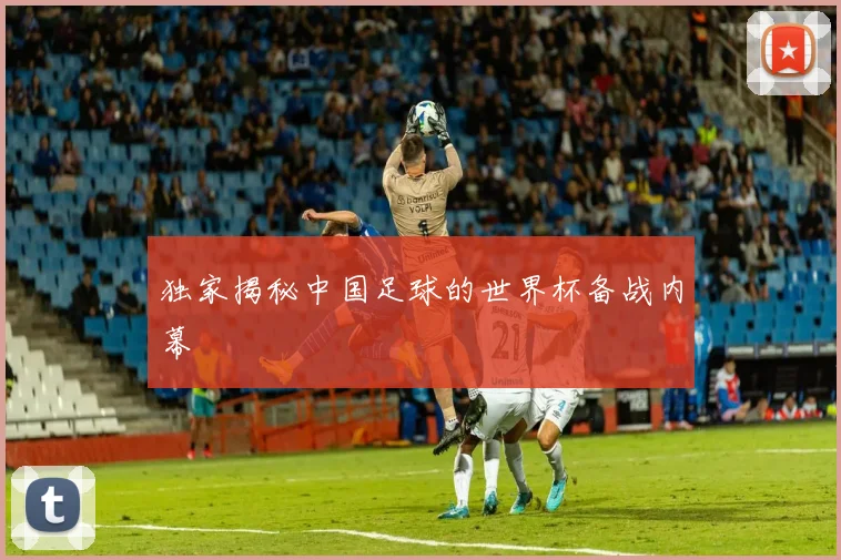 独家揭秘中国足球的世界杯备战内幕